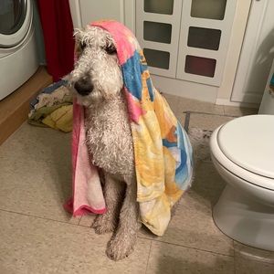 Meet your Posher, Michael